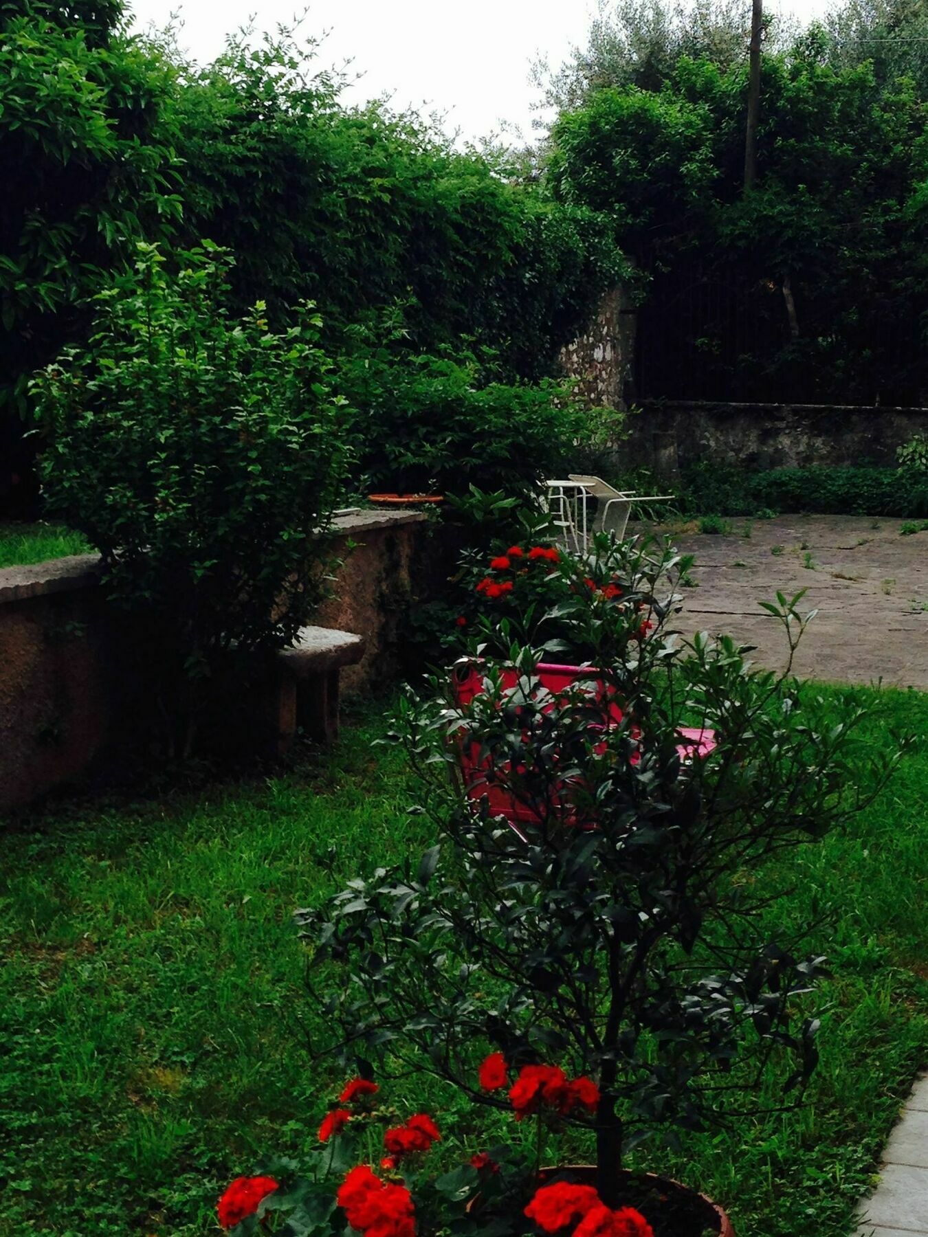 Villa Omas Haus Toscolano-Maderno Exterior foto